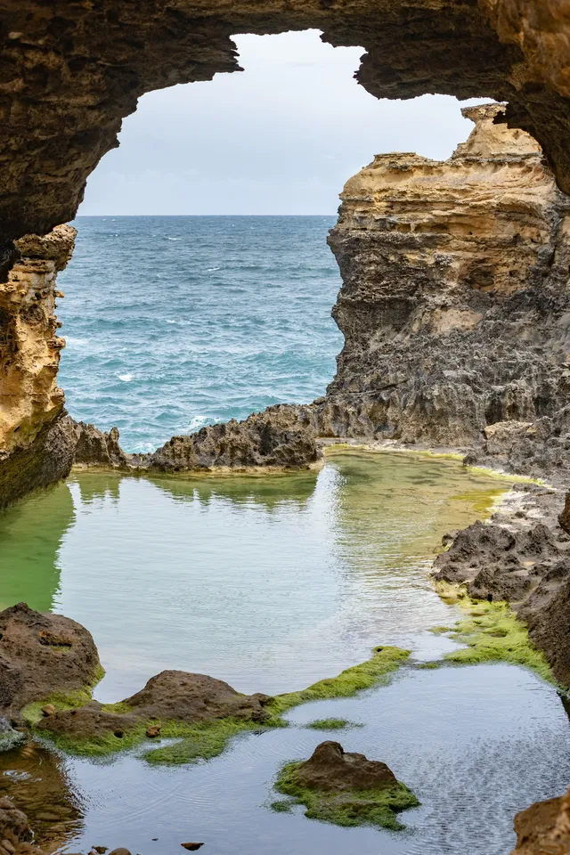 從墨爾本出發2小時🫏牛馬本人體驗退休生活