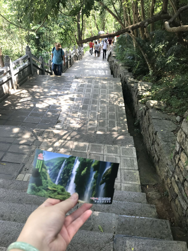 興義必打卡！穿越地球裂縫的瀑布仙境！   交通出行 地址：貴州省黔西南布依族苗族自治州興