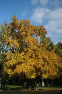 揚州人遊揚州！