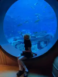 三亞五天四晚淡季旅遊攻略