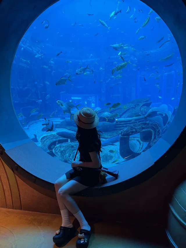 三亞五天四晚淡季旅遊攻略 三亞五天四晚淡季旅遊攻略