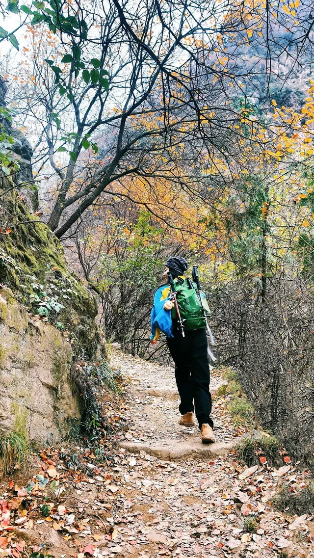 金龍峽徒步｜秦嶺秘境｜人少景美｜新手天堂