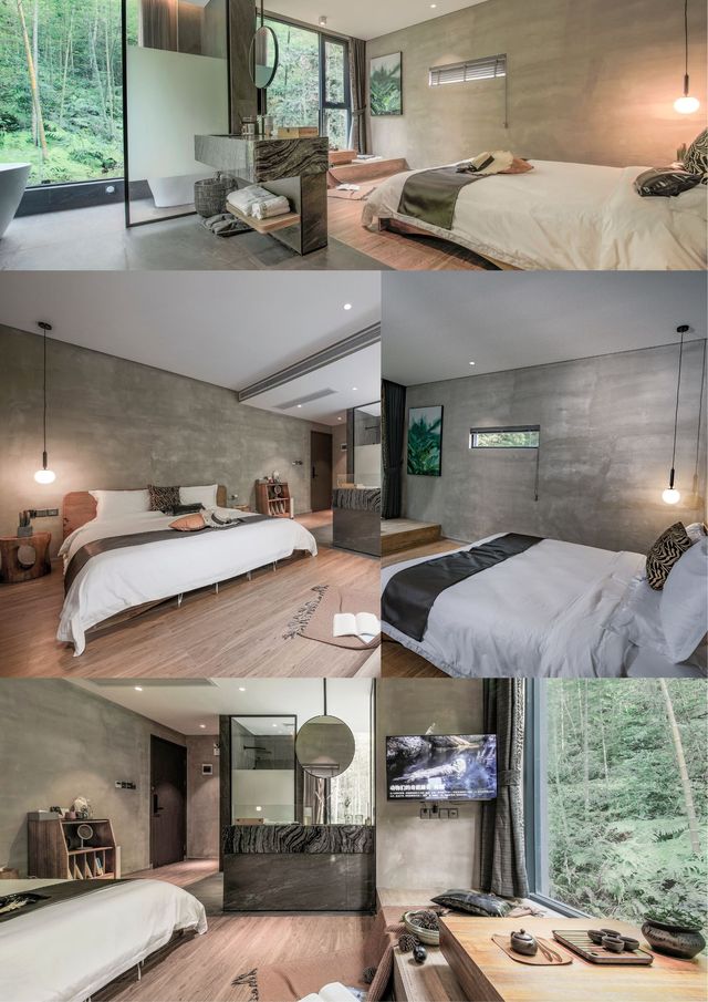 嶺南深秋別錯過！南崑竹海秘境慢享秋光