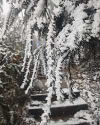 螺髻山瘋玩實錄：在雪地裡泡溫泉也太會了！