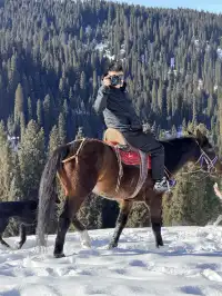 成都秋假 新疆賽里木湖4天三晚攻略來啦