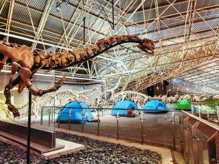 Lufeng Dinosaur Valley Hall 3 Dinosaur Fossil Revival