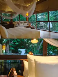 春節免簽衝蘇梅六善,小朋友嗨到不想回家