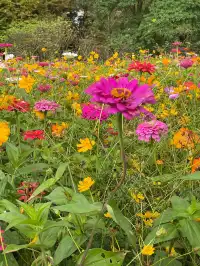 在貴陽住到了夢中情房