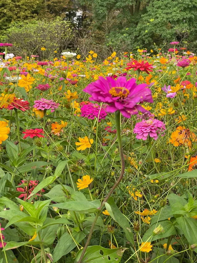 在貴陽住到了夢中情房