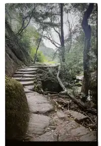 清冷武夷山，最宜岩骨花香漫步