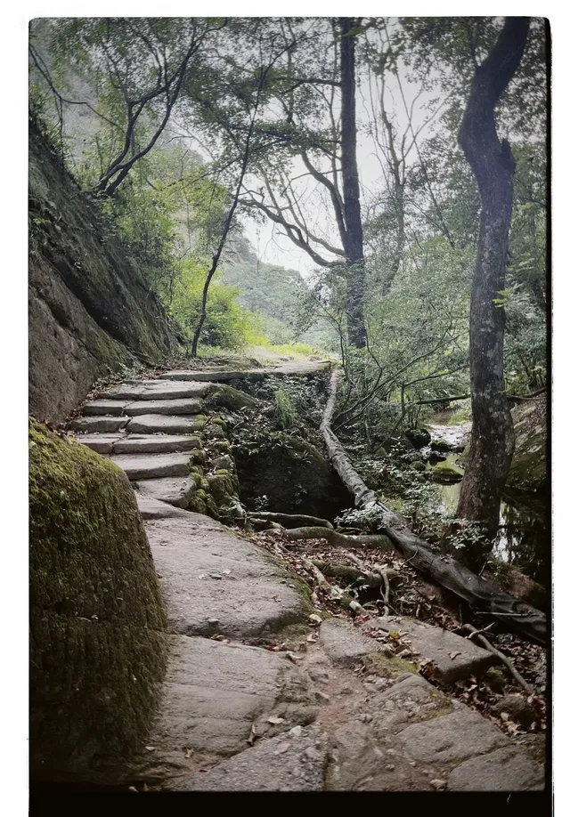 清冷武夷山，最宜岩骨花香漫步