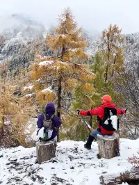 黨嶺3天2夜徒步攻略(不露營版)