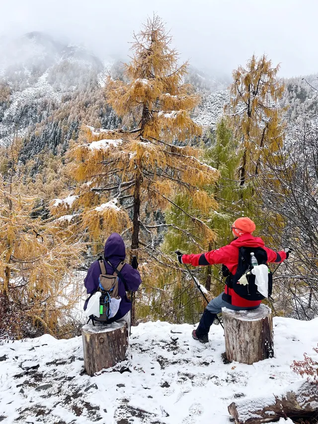 黨嶺3天2夜徒步攻略(不露營版) 黨嶺3天2夜徒步攻略(不露營版)
