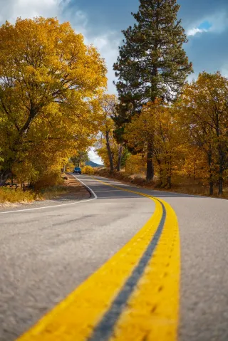 "Is there no autumn in Southern California?" I don't think so