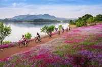 淳安治癒系小眾地