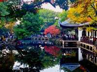 12月初實探｜無錫惠山古鎮，邂逅一場盛大的江南深秋