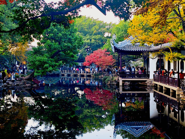 12月初實探｜無錫惠山古鎮，邂逅一場盛大的江南深秋