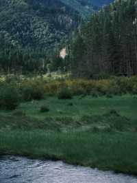 九寨溝歸來不看水,這裡的秋天美到詞窮!