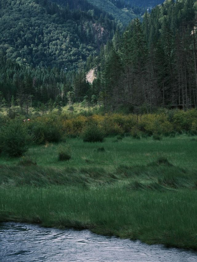 九寨溝歸來不看水,這裡的秋天美到詞窮! 九寨溝歸來不看水,這裡的秋天美到詞窮!