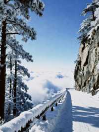 江西降溫了，又想念廬山的雪了|||作為南方人，從小對雪就
