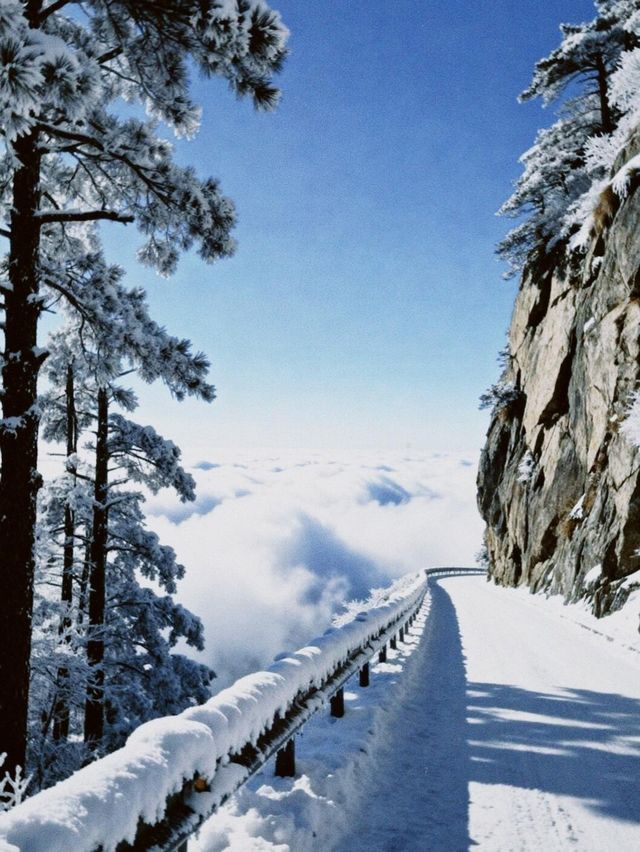 江西降溫了，又想念廬山的雪了|||作為南方人，從小對雪就