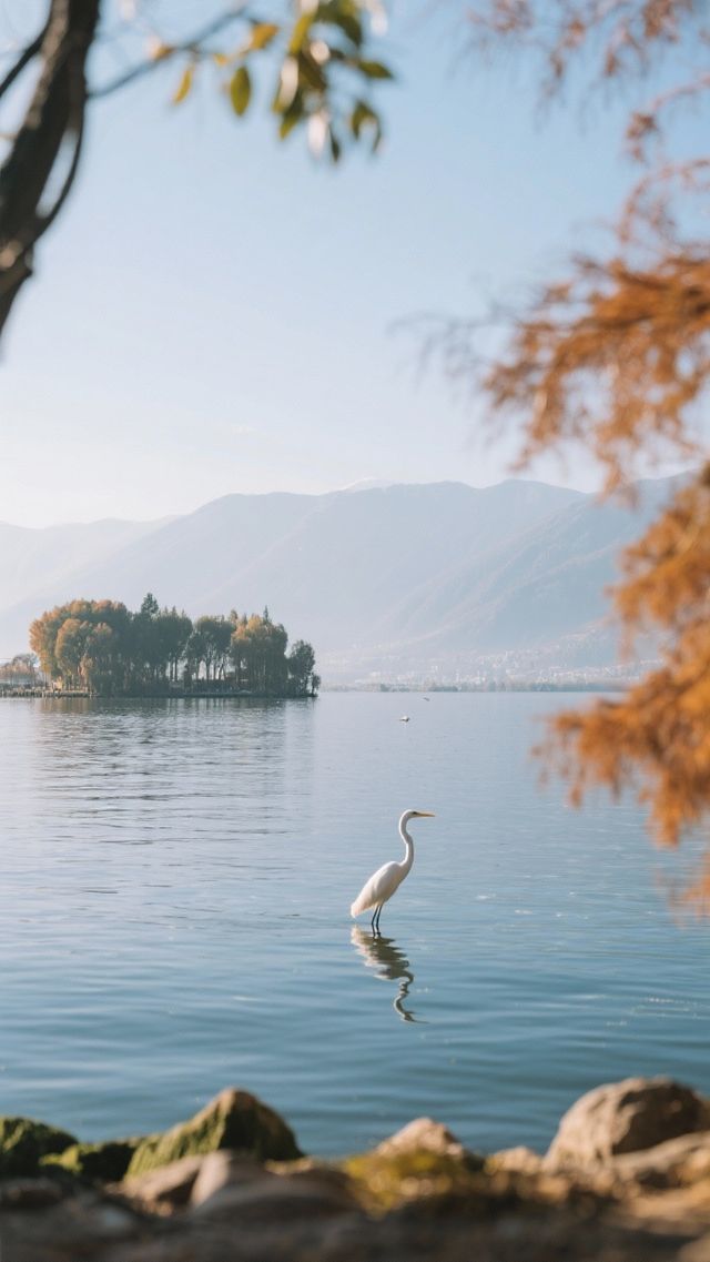 12月的西昌四天三晚,玩轉小春城! 12月的西昌四天三晚,玩轉小春城!