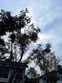 泊心雲舍·七夕島｜住進仙女湖的浪漫童話裡