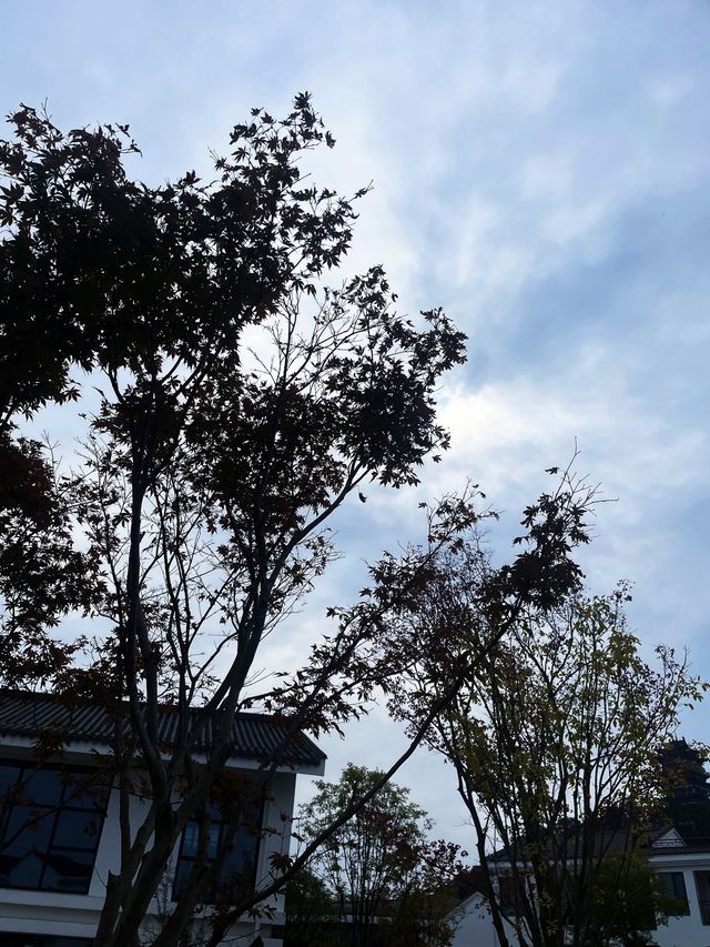 泊心雲舍·七夕島｜住進仙女湖的浪漫童話裡