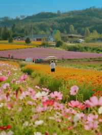 12月親子拍照！留住童年的浪漫瞬間