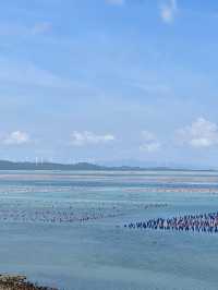 長沙週末閃現南澳島2天1夜看海攻略|人均800+