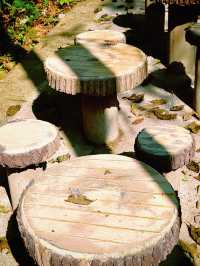 秋染武陵源,張家界的美,是上帝遺落的油畫!