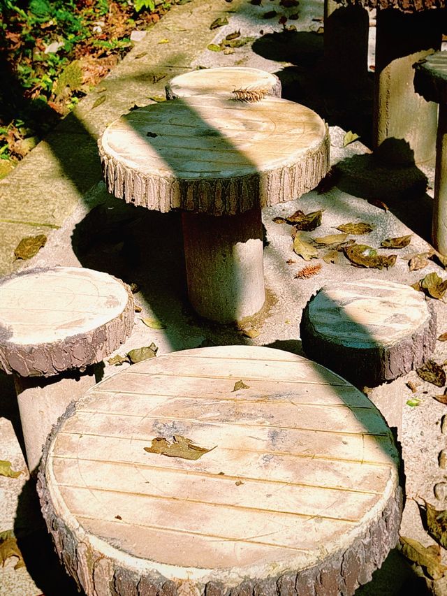 秋染武陵源,張家界的美,是上帝遺落的油畫! 秋染武陵源,張家界的美,是上帝遺落的油畫!