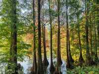 肇慶七星岩|闖入現實版山水畫!隨手拍都是大片! 七星岩,肇慶必去!喀斯特地貌+湖泊,一秒穿越