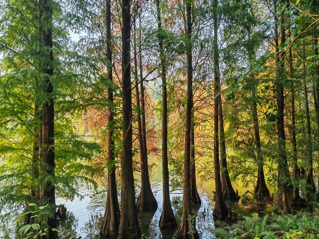 肇慶七星岩|闖入現實版山水畫!隨手拍都是大片! 七星岩,肇慶必去!喀斯特地貌+湖泊,一秒穿越 肇慶七星岩|闖入現實版山水畫!隨手拍都是大片! 七星岩,肇慶必去!喀斯特地貌+湖泊,一秒穿越