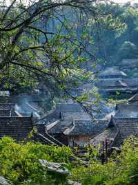 景邁山｜雲南最後的秘境，雲海古寨治癒一切