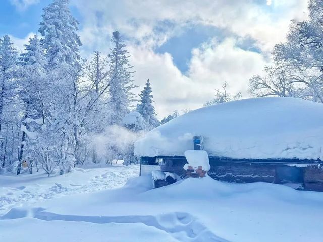 雪谷生存指南:零下30℃的童話世界,南方人也能活下來! 雪谷生存指南:零下30℃的童話世界,南方人也能活下來!