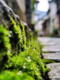 浙江麗水隱藏版「小京都」|這個古村落美到封神!