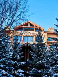 住進滑雪場裡!在長白山實現滑雪+撸寵自由