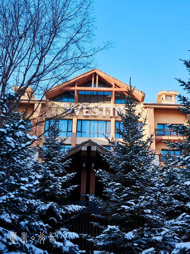 住進滑雪場裡!在長白山實現滑雪+撸寵自由 住進滑雪場裡!在長白山實現滑雪+撸寵自由