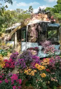 第43站｜深圳週末好去處•蓮花山公園