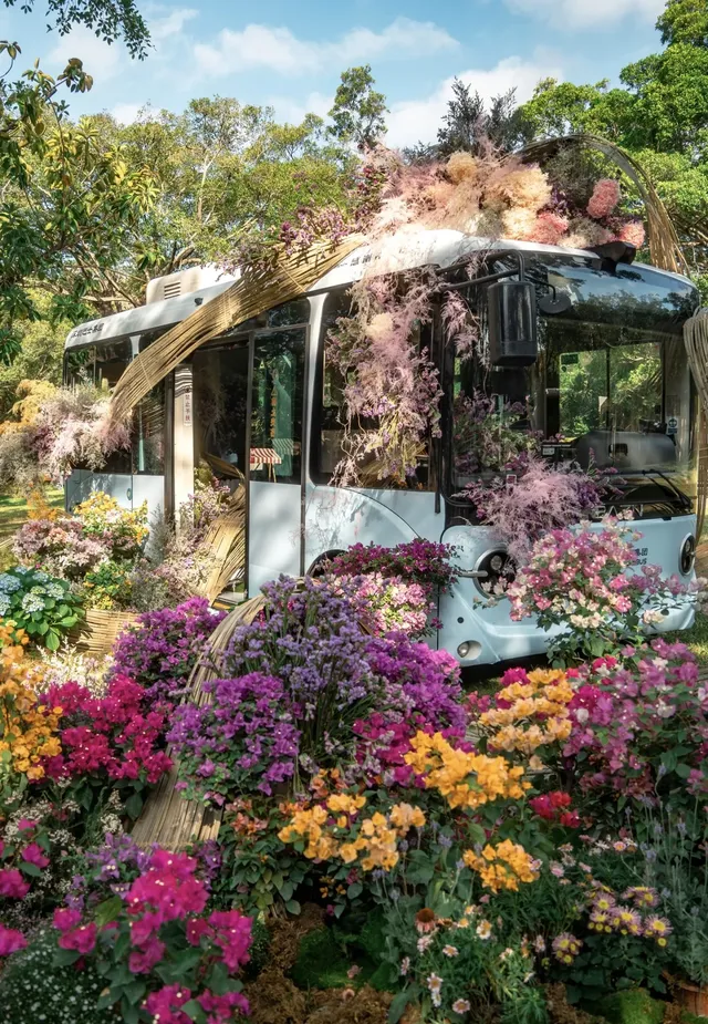 第43站｜深圳週末好去處•蓮花山公園