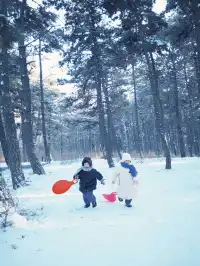 天津-長春-哈爾濱5天4晚
