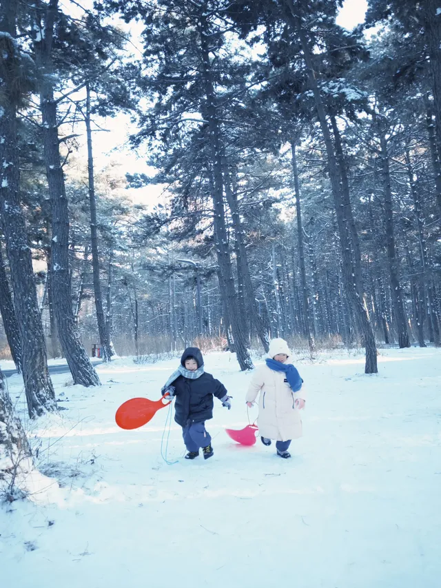 天津-長春-哈爾濱5天4晚