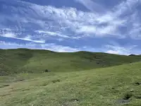 溜了溜了!大西北拜拜!