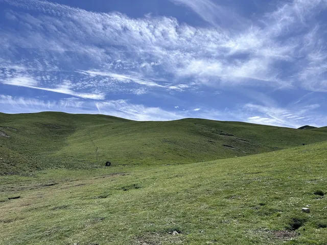 溜了溜了!大西北拜拜! 溜了溜了!大西北拜拜!