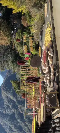 上海出發~三清山篁嶺兩日遊(三清山篇)