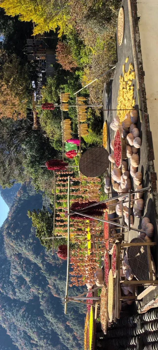 上海出發~三清山篁嶺兩日遊(三清山篇) 上海出發~三清山篁嶺兩日遊(三清山篇)