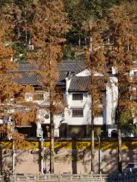 說走就走！九華山之旅