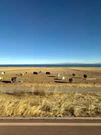 青甘大環線剛回來!!!說一些真實感受。。。