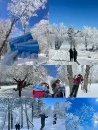 長春—長白山-延吉五天四晚超全攻略